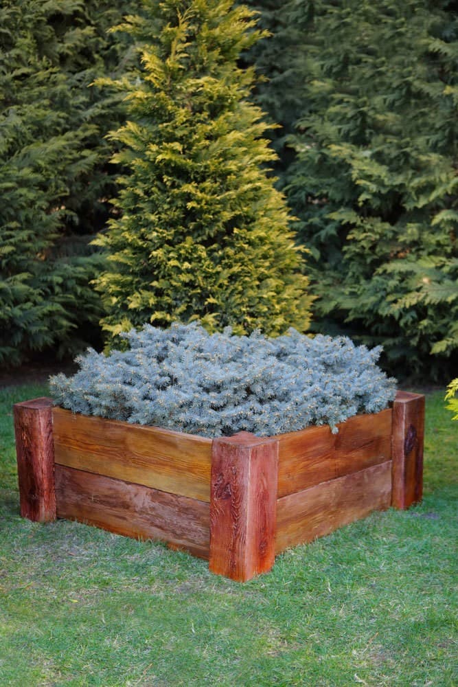 Квітник Banera